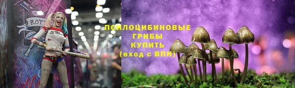метамфетамин Богданович
