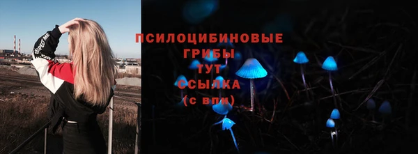 метамфетамин Богданович