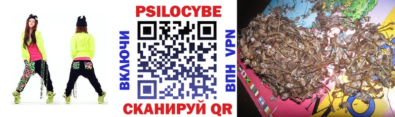 Купить где  Билибино  Галлюциногенные грибы мицелий 